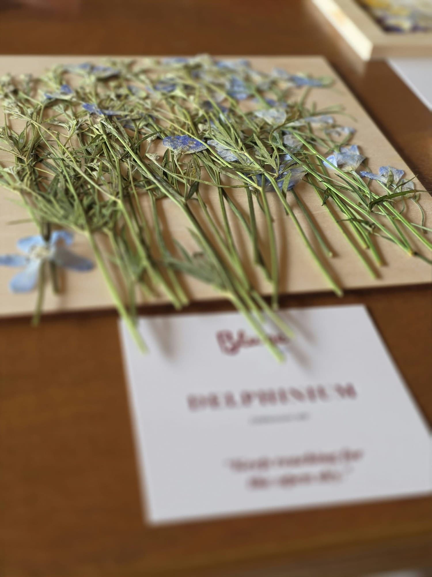 Pressed blue delphinium flowers arranged carefully on a wooden board.