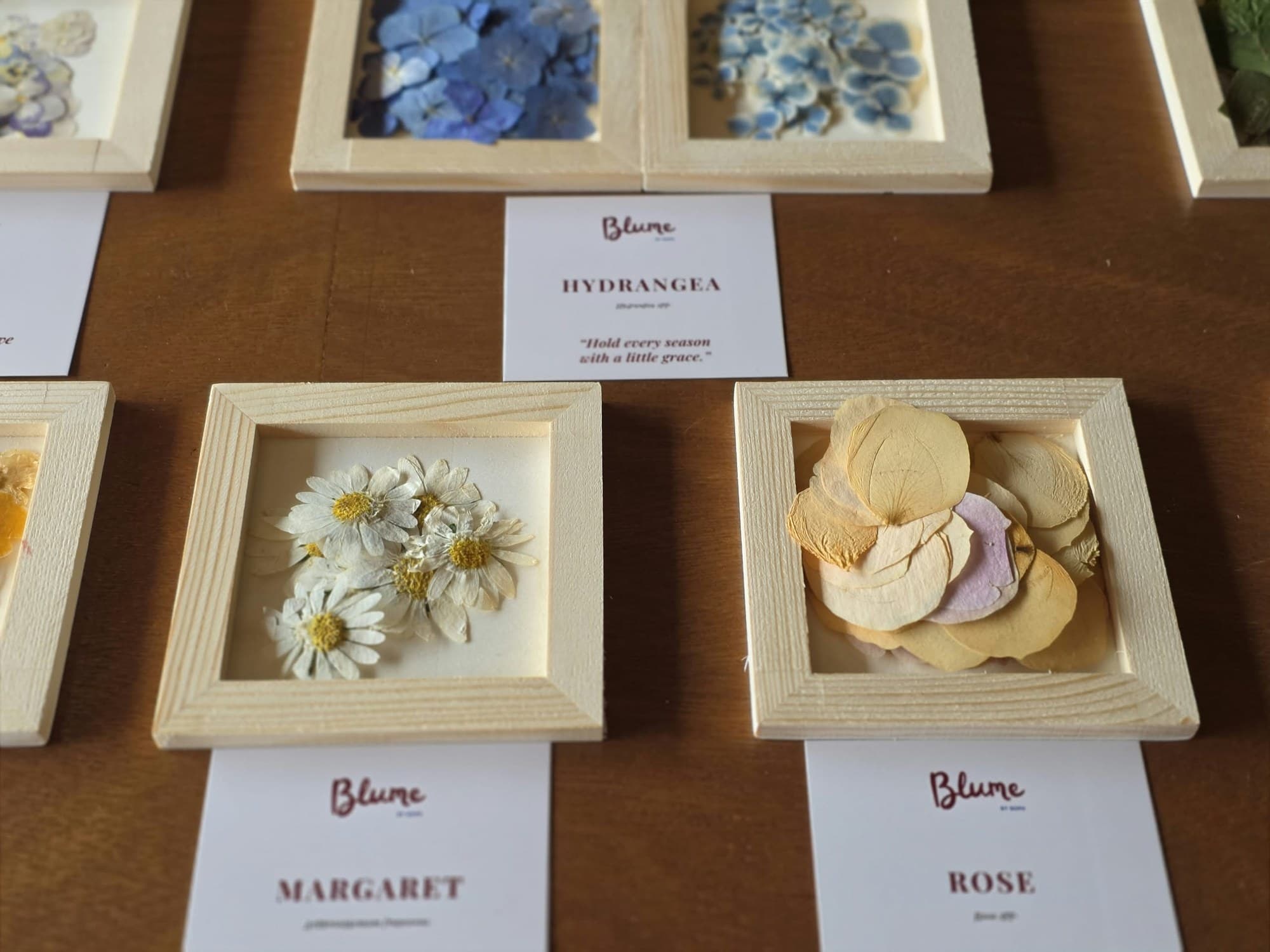 Pressed hydrangea, margaret and rose petals displayed in wooden frames.